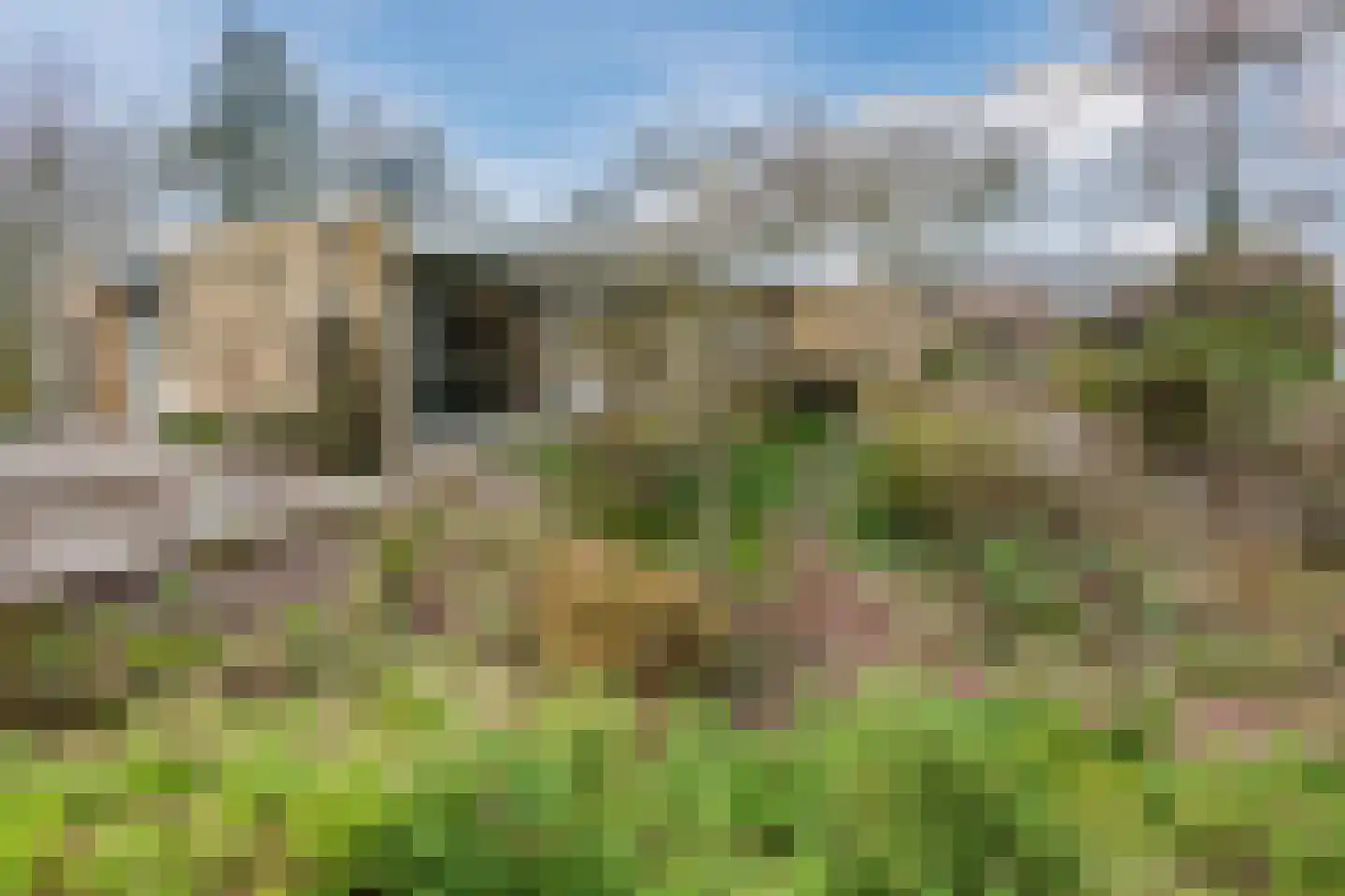 Vijverlaan 13 Nieuwleusen thumbnail 41