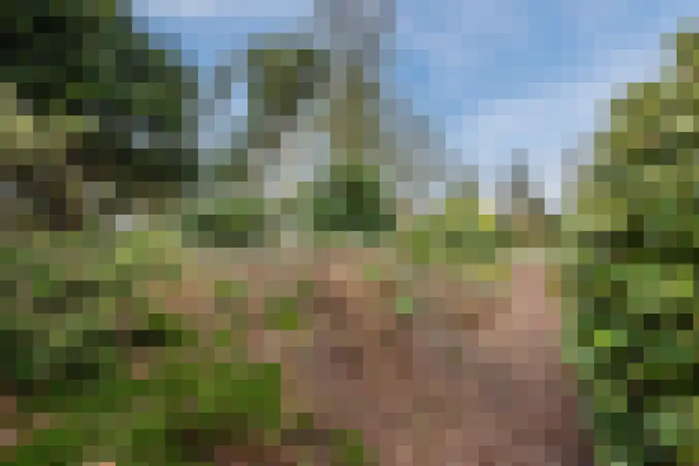 Vijverlaan 13 Nieuwleusen thumbnail 45