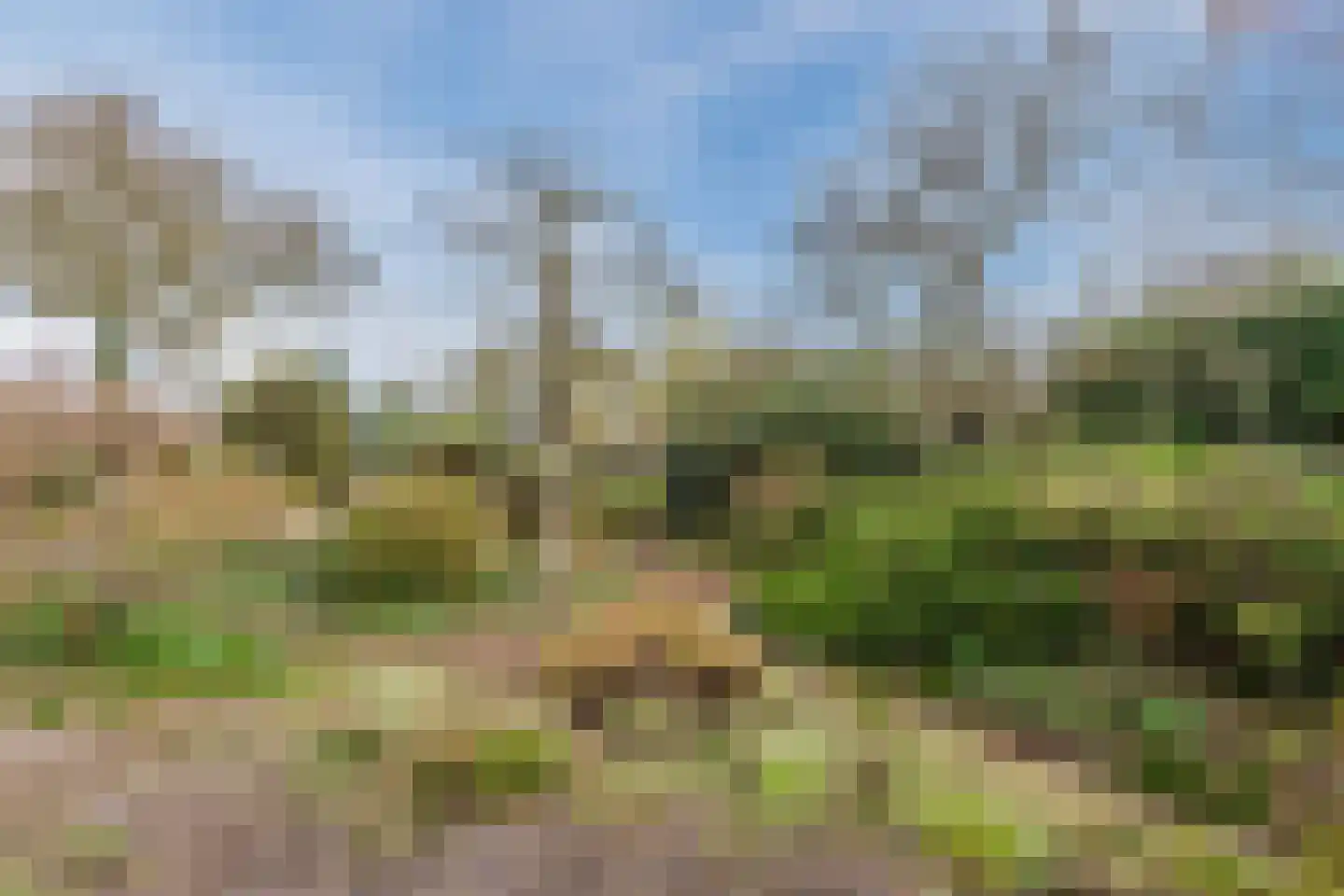 Vijverlaan 13 Nieuwleusen thumbnail 46