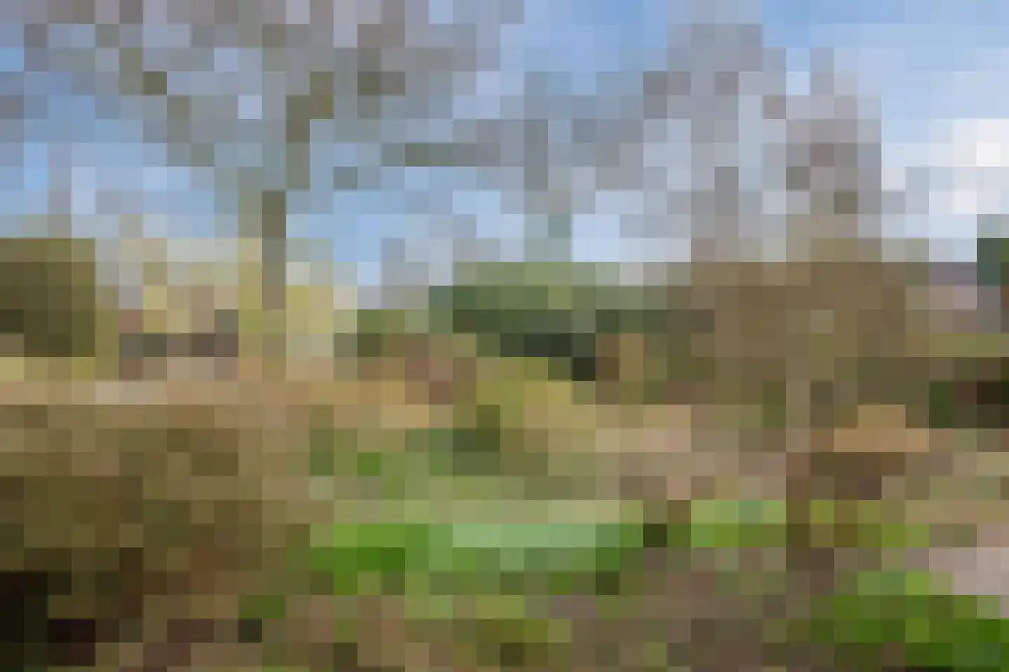 Vijverlaan 13 Nieuwleusen thumbnail 47