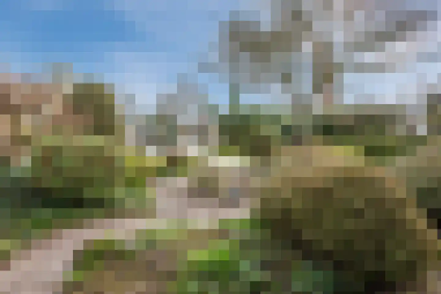 Vijverlaan 13 Nieuwleusen thumbnail 48