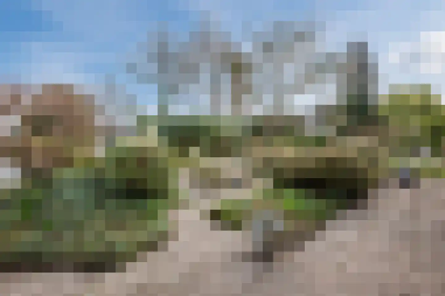 Vijverlaan 13 Nieuwleusen thumbnail 49