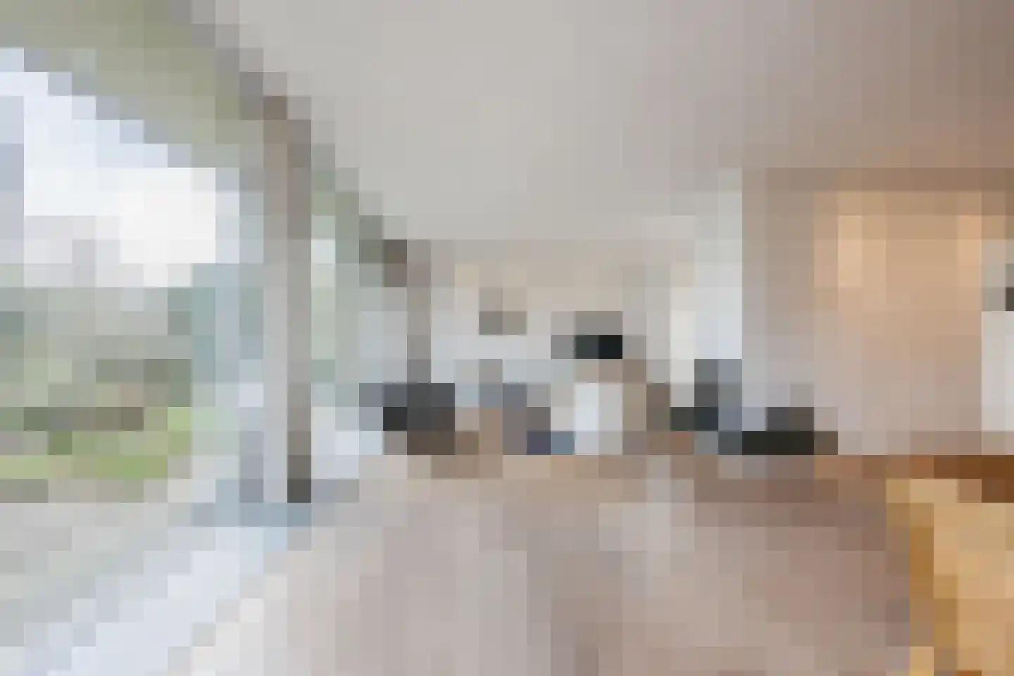 Vijverlaan 13 Nieuwleusen thumbnail 9