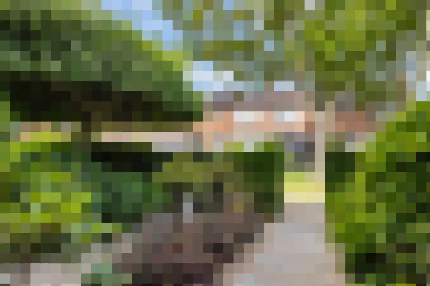 Vijverlaan 130 Dordrecht thumbnail 7