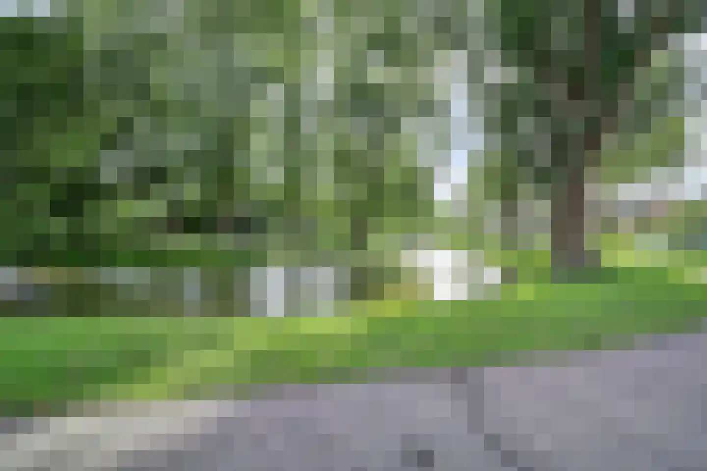 Vijverlaan 142 Dordrecht thumbnail 18