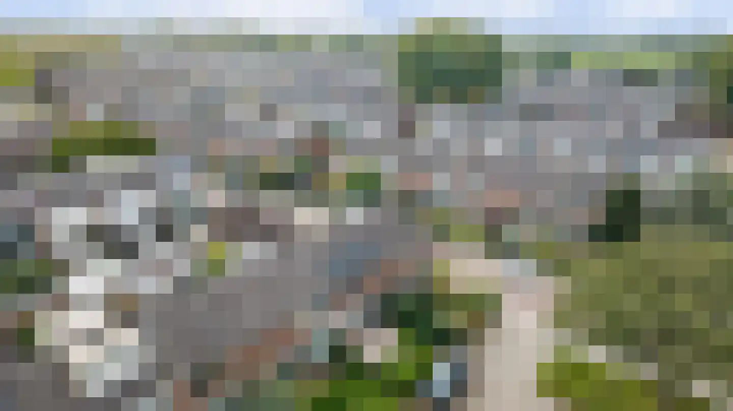 Vijverlaan 142 Dordrecht thumbnail 19