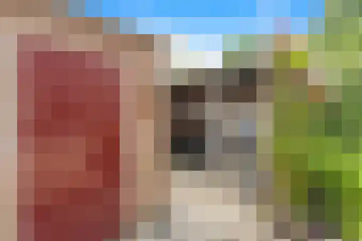 Vijverlaan 149 Dordrecht thumbnail 19