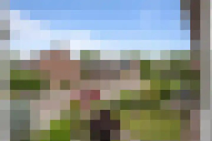 Vijverlaan 149 Dordrecht thumbnail 25