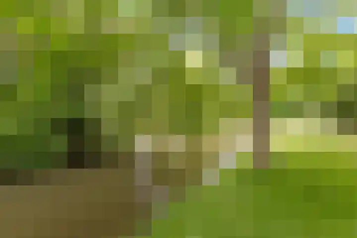 Vijverlaan 149 Dordrecht thumbnail 34