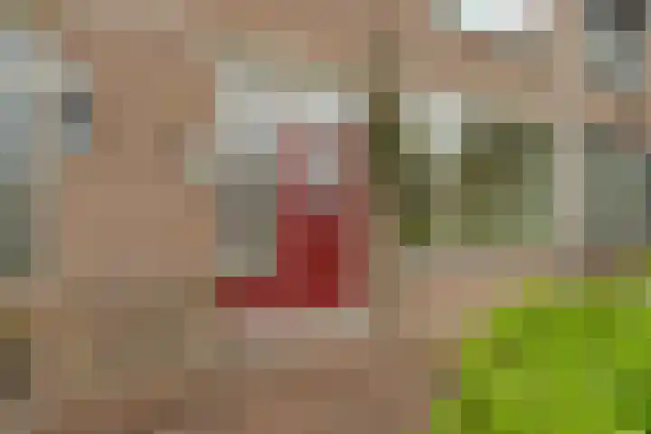 Vijverlaan 149 Dordrecht thumbnail 7