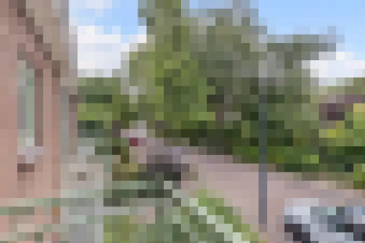 Vijverlaan 15 Bodegraven thumbnail 29