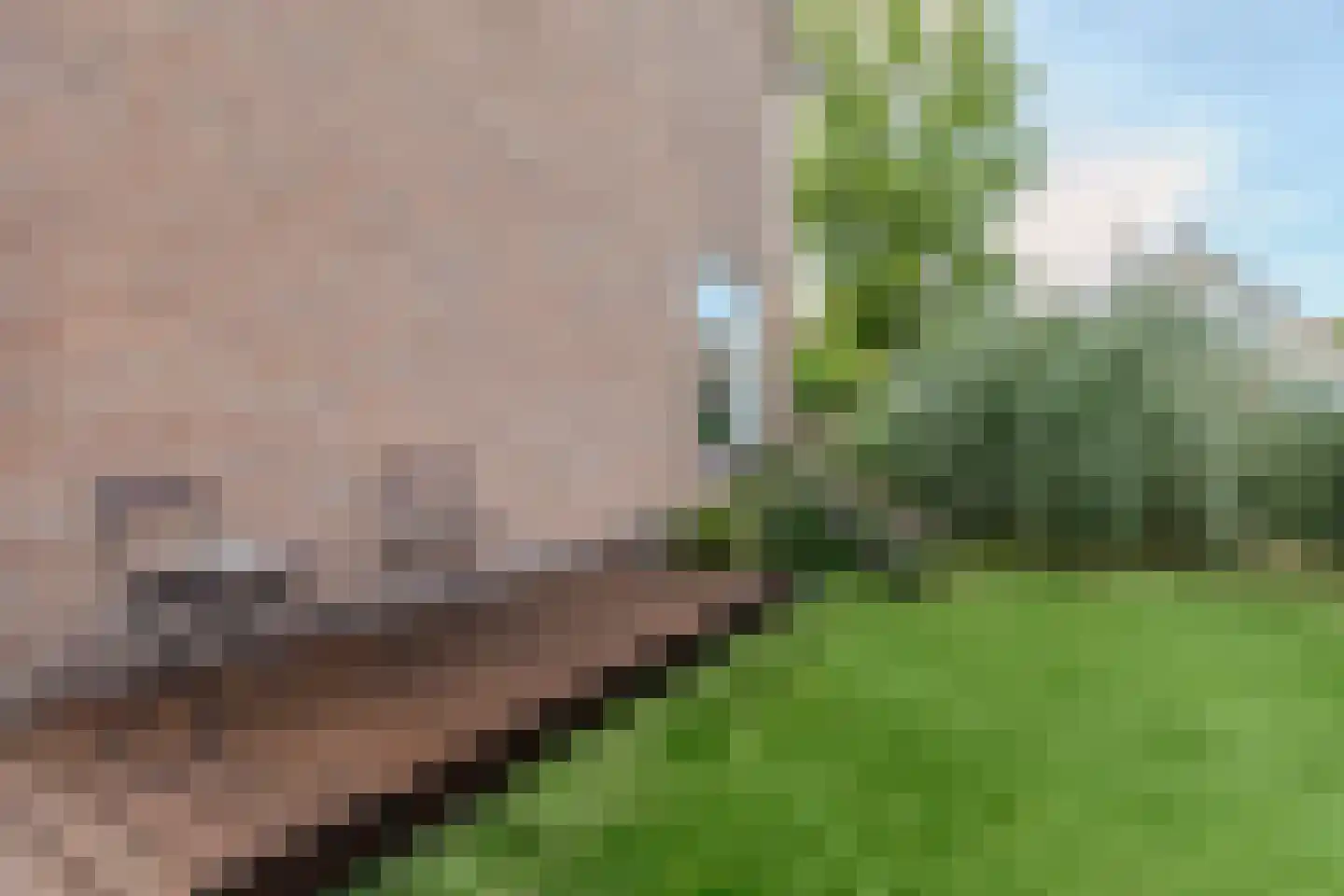 Vijverlaan 15 Bodegraven thumbnail 38