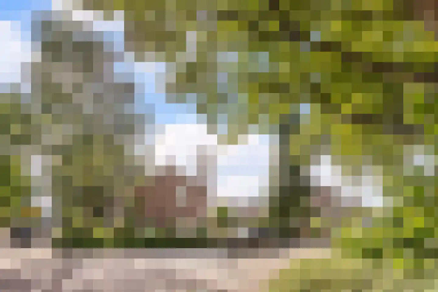 Vijverlaan 15 Bodegraven thumbnail 45