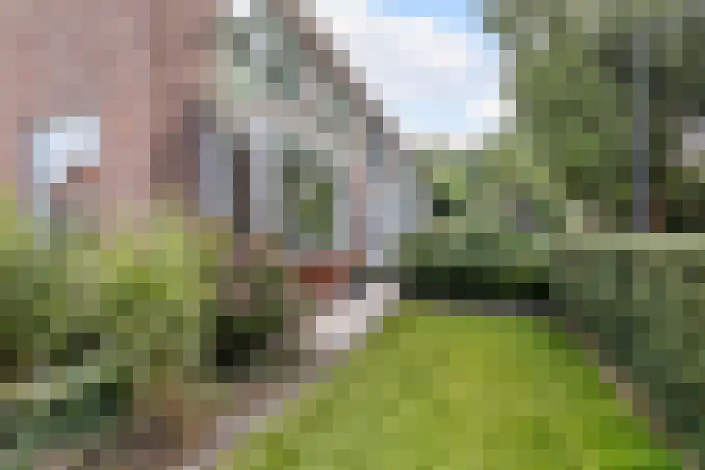 Vijverlaan 15 Bodegraven thumbnail 8