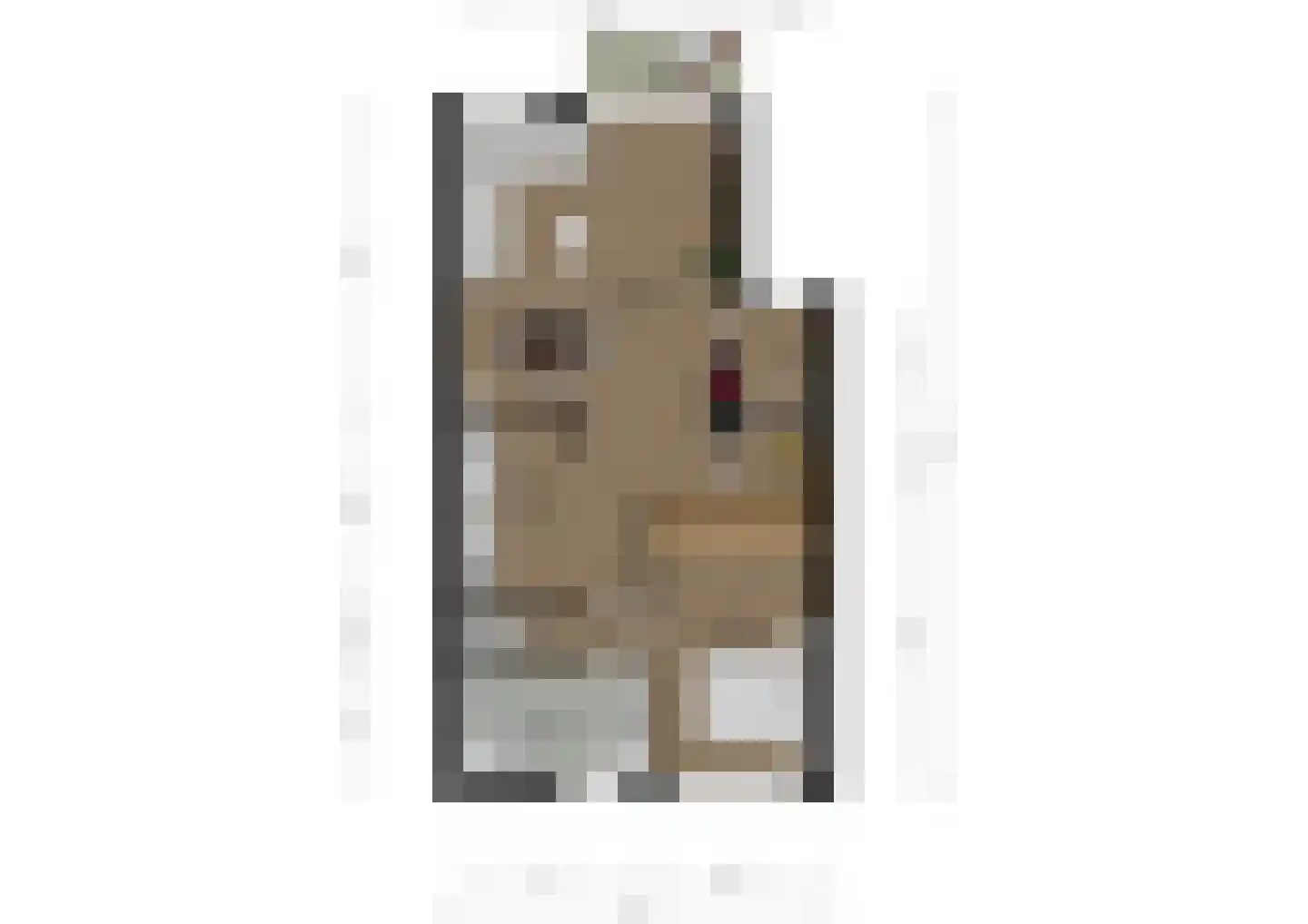 Vijverlaan 15 Brunssum thumbnail 27