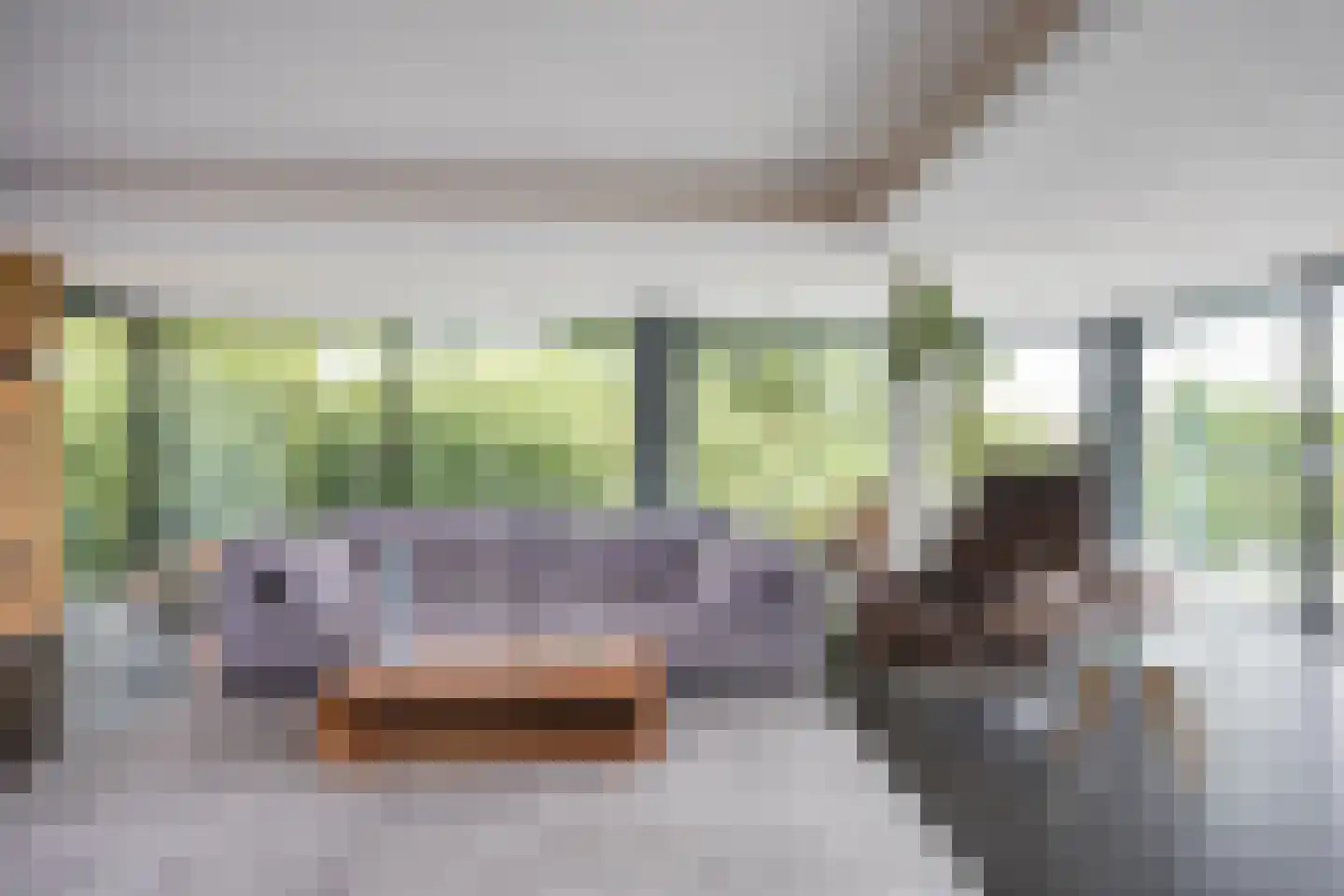 Vijverlaan 15 Nieuwleusen thumbnail 10