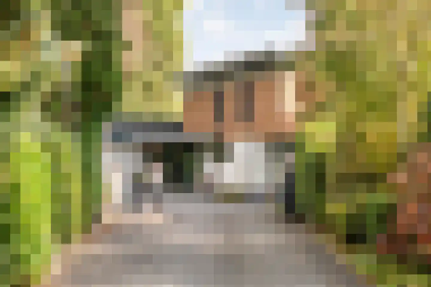 Vijverlaan 15 Nieuwleusen thumbnail 12