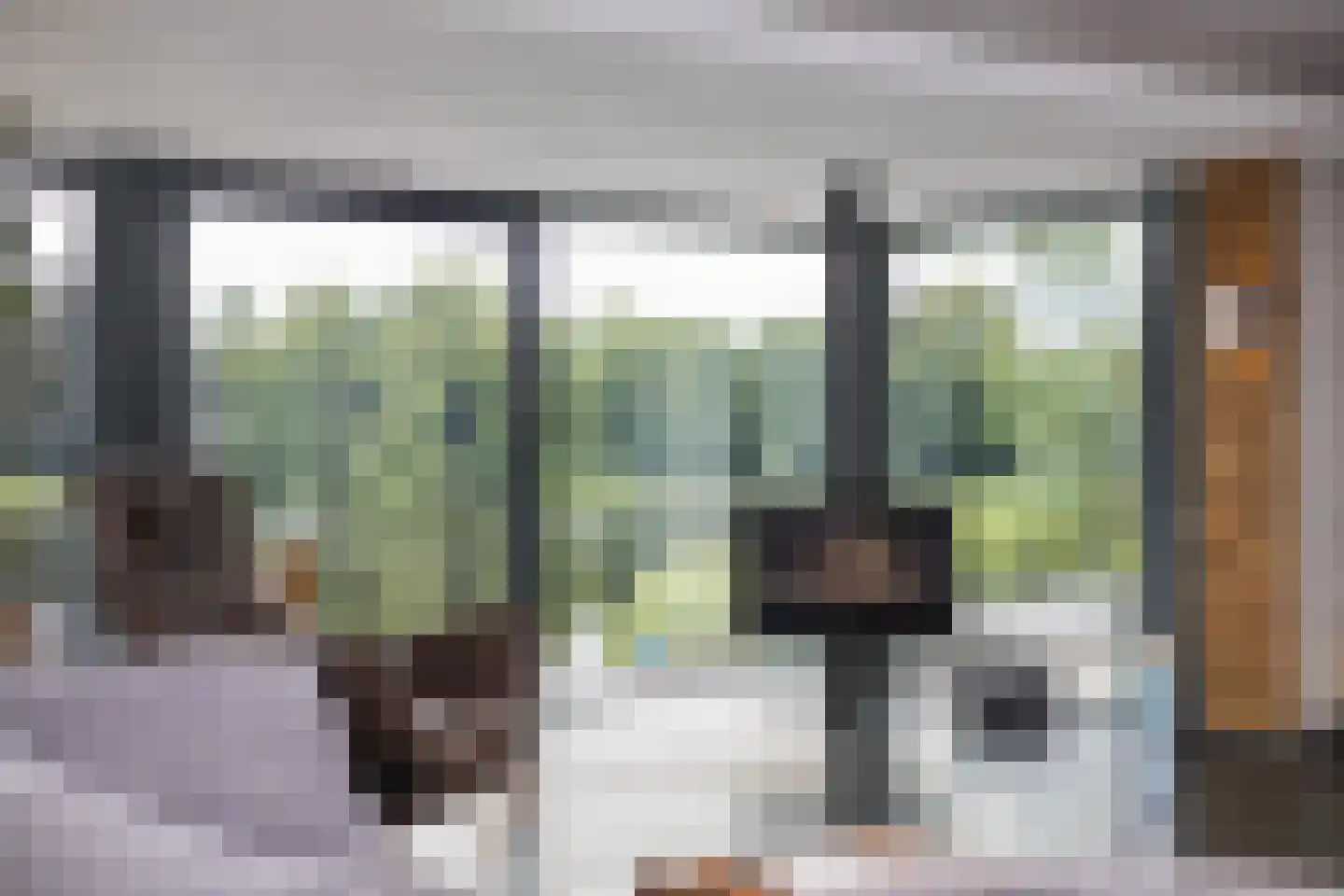 Vijverlaan 15 Nieuwleusen thumbnail 13