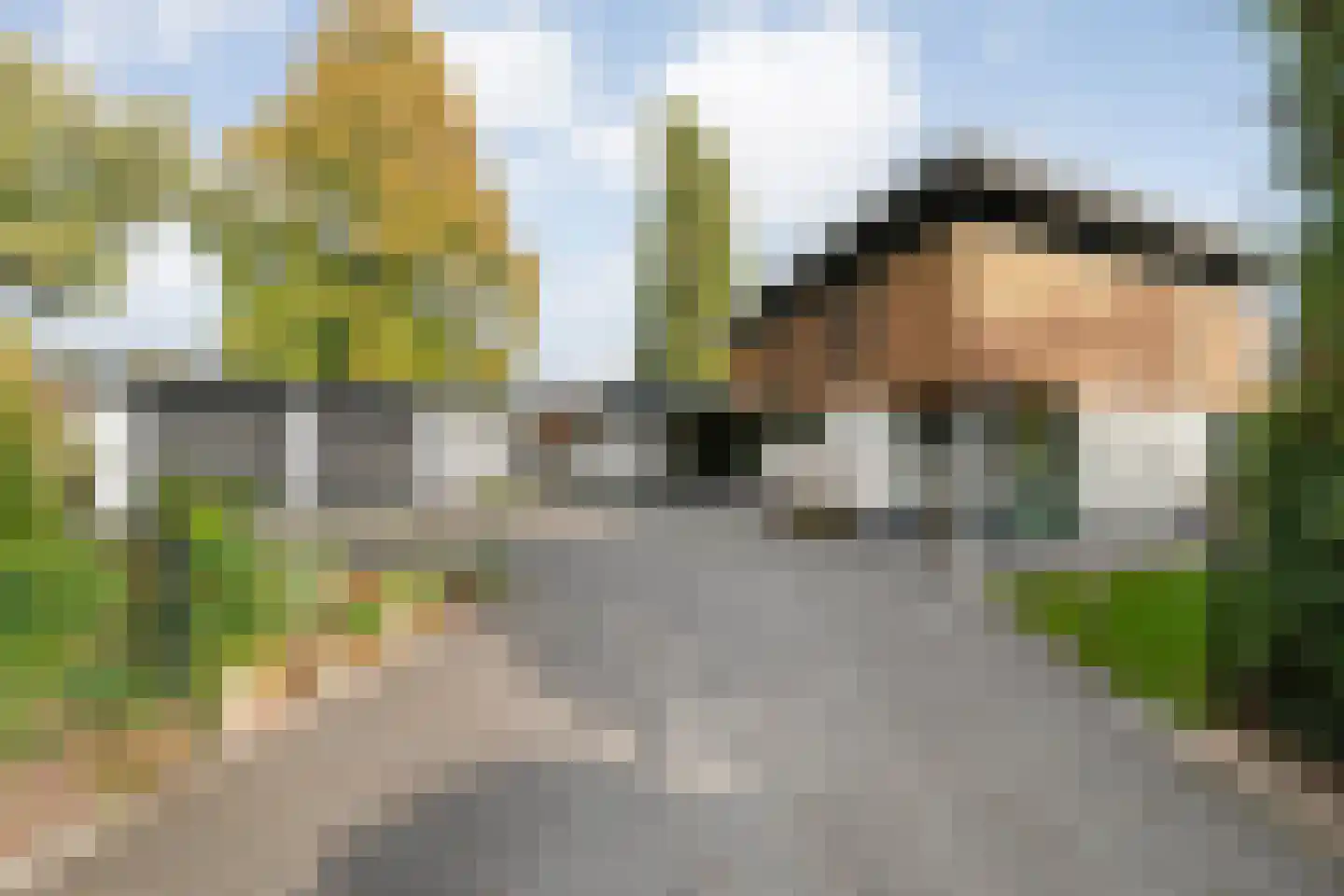 Vijverlaan 15 Nieuwleusen thumbnail 14