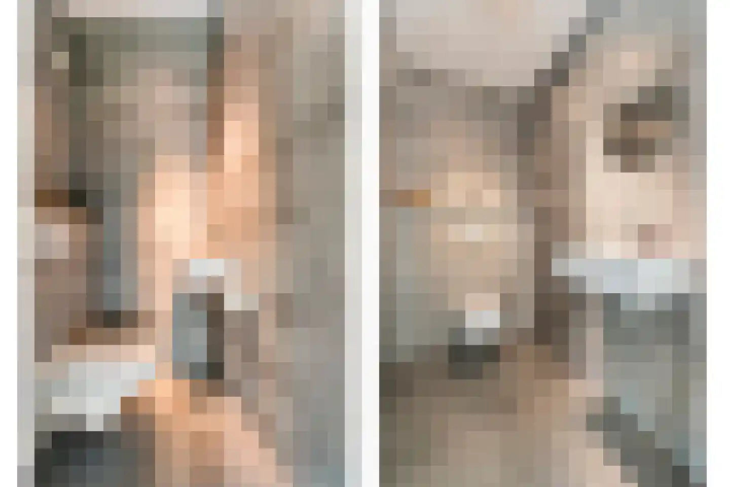 Vijverlaan 15 Nieuwleusen thumbnail 17