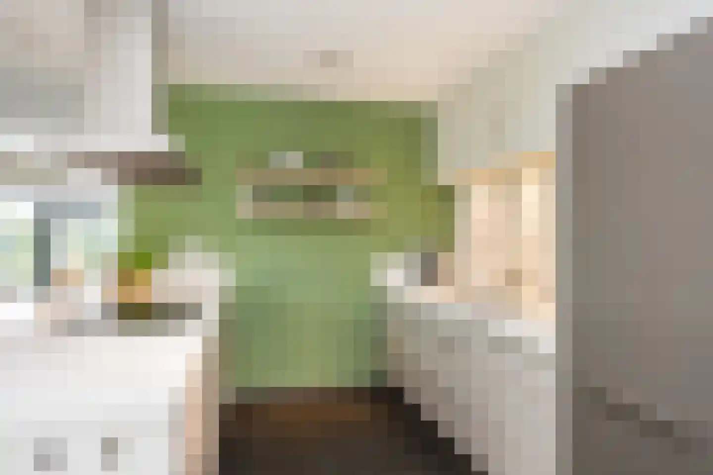 Vijverlaan 15 Nieuwleusen thumbnail 18