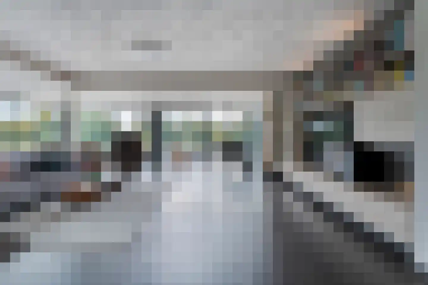 Vijverlaan 15 Nieuwleusen thumbnail 19