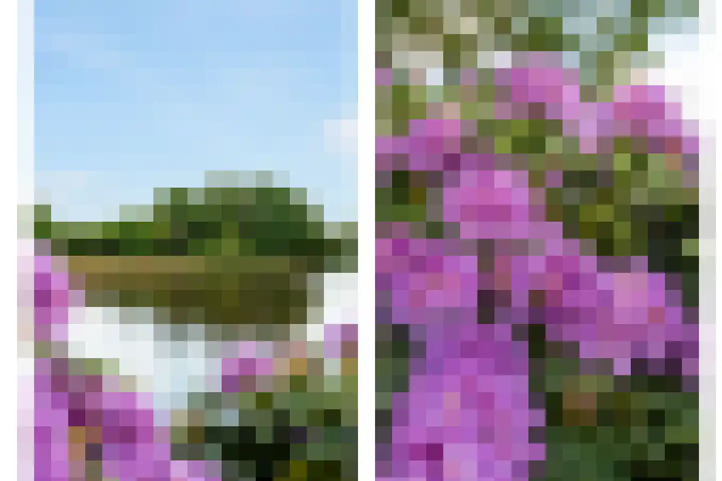 Vijverlaan 15 Nieuwleusen foto 2