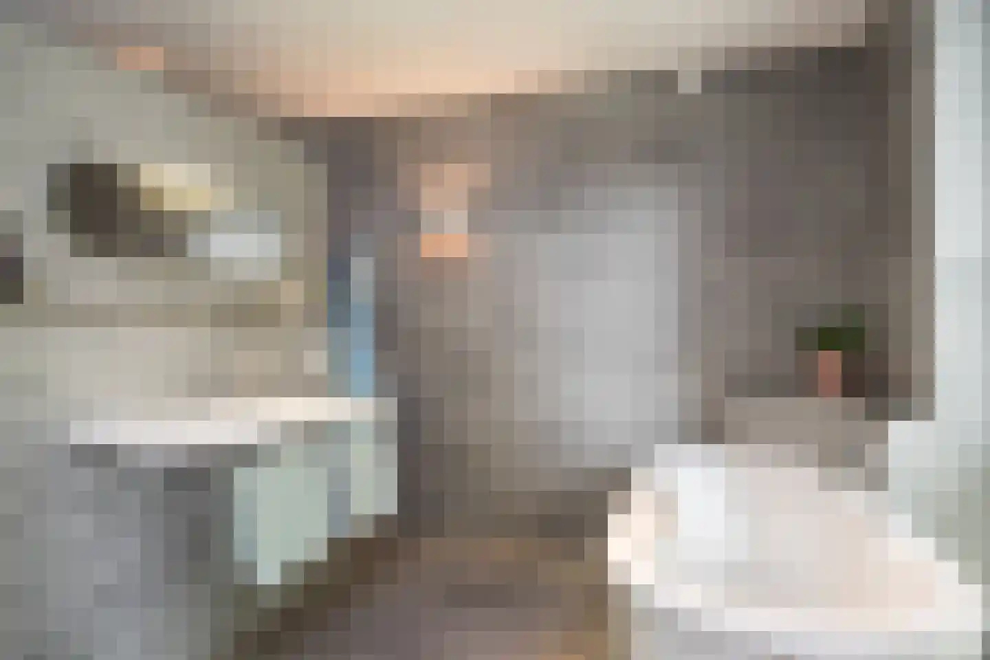 Vijverlaan 15 Nieuwleusen thumbnail 21