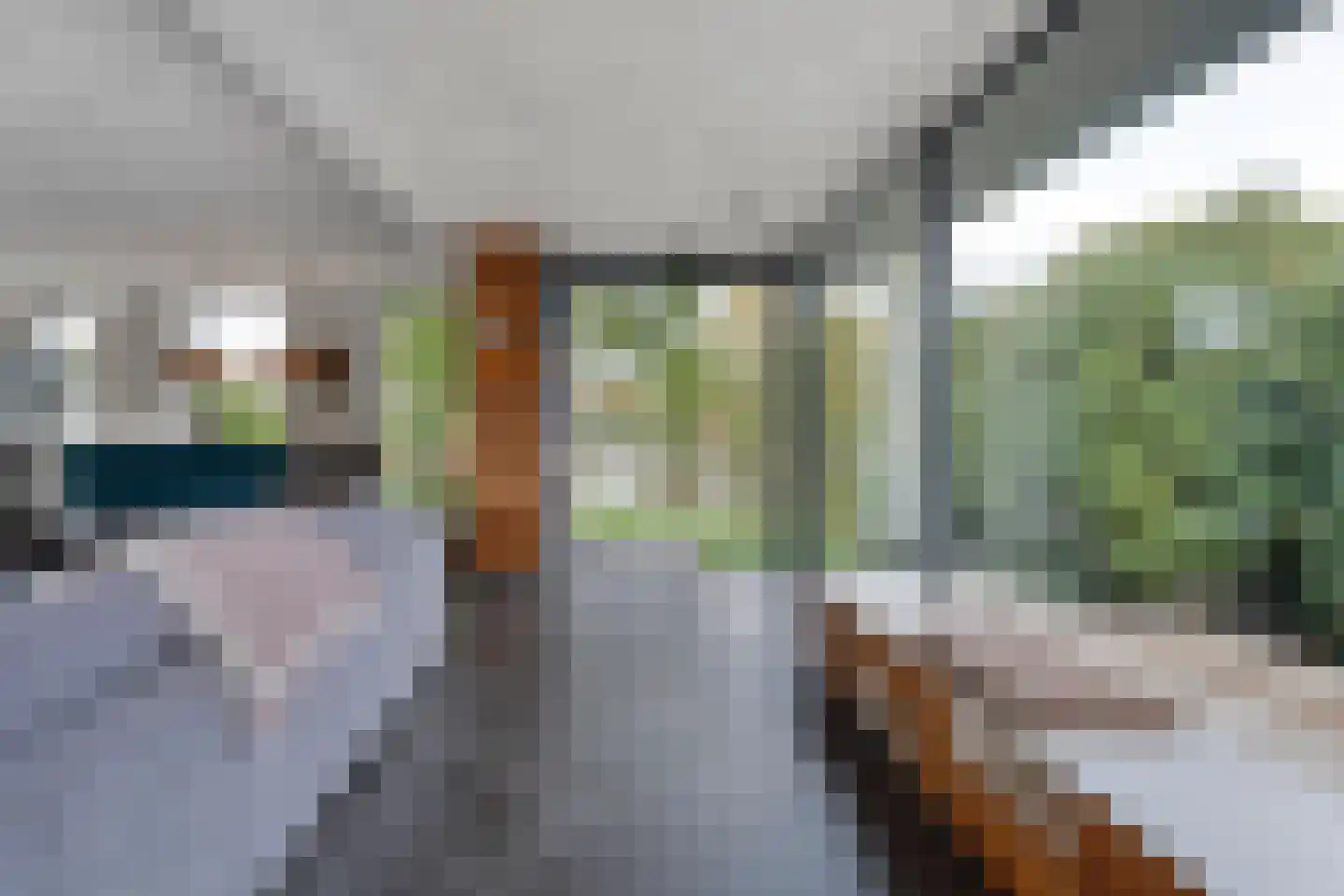 Vijverlaan 15 Nieuwleusen thumbnail 23