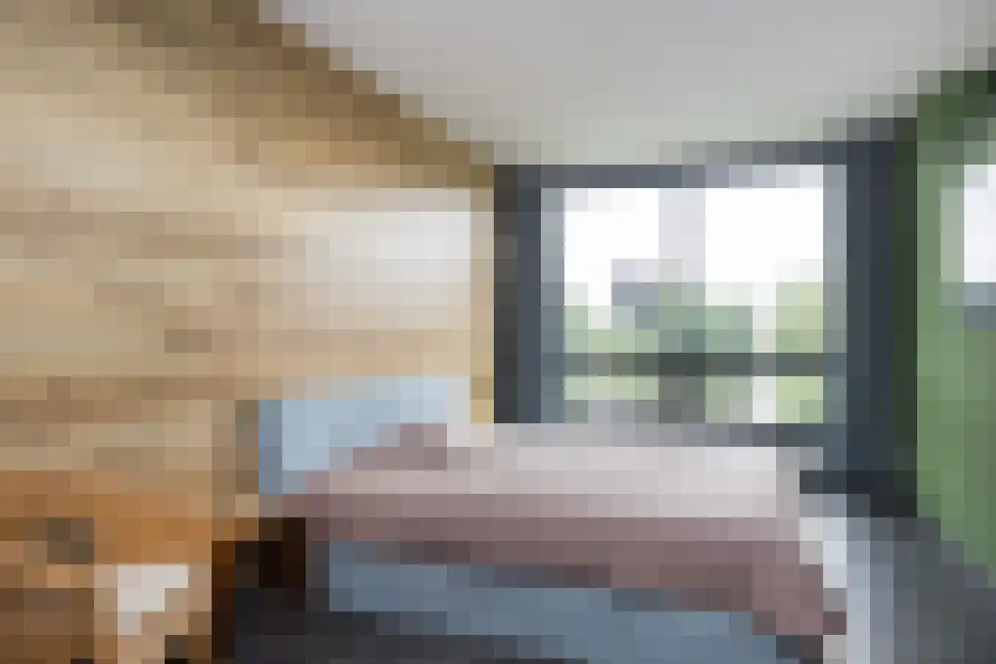 Vijverlaan 15 Nieuwleusen thumbnail 26