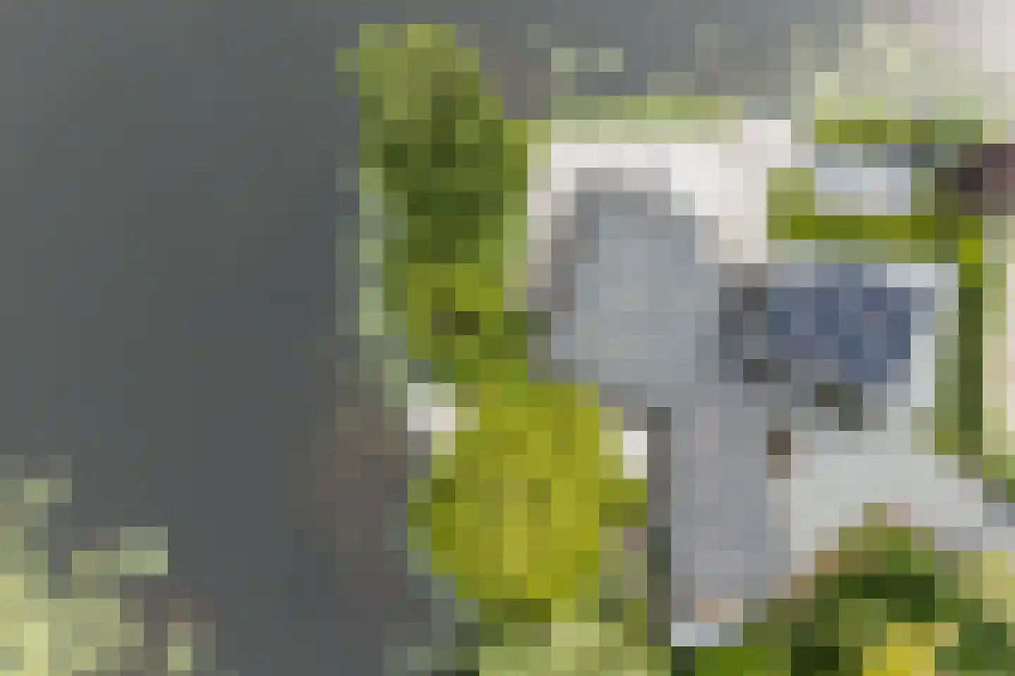 Vijverlaan 15 Nieuwleusen thumbnail 29
