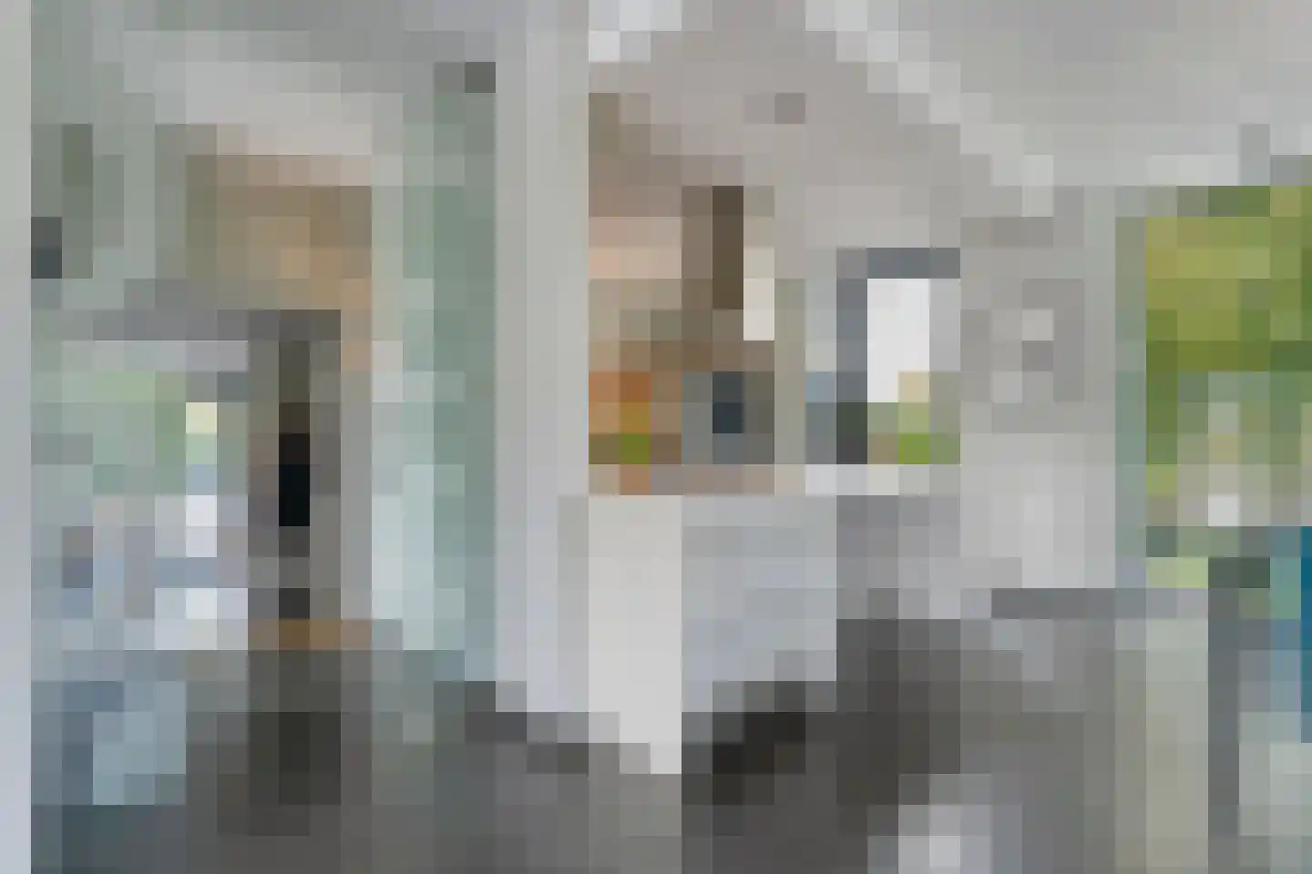 Vijverlaan 15 Nieuwleusen thumbnail 29