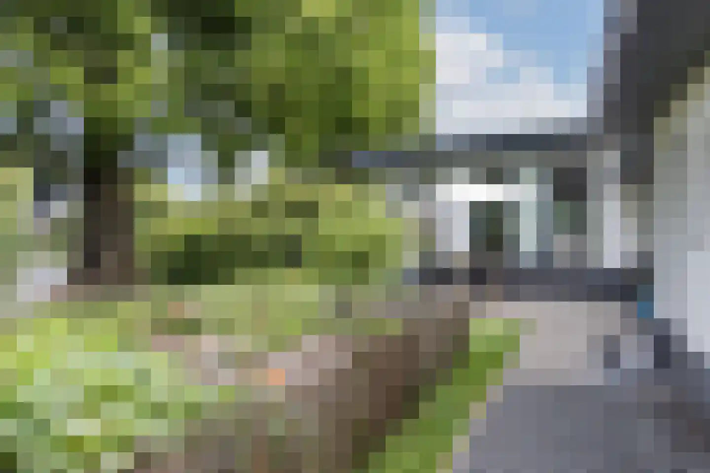 Vijverlaan 15 Nieuwleusen thumbnail 30