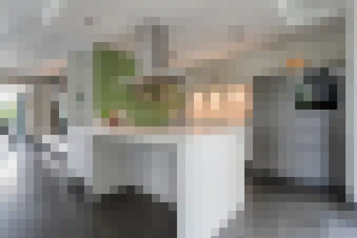 Vijverlaan 15 Nieuwleusen thumbnail 30