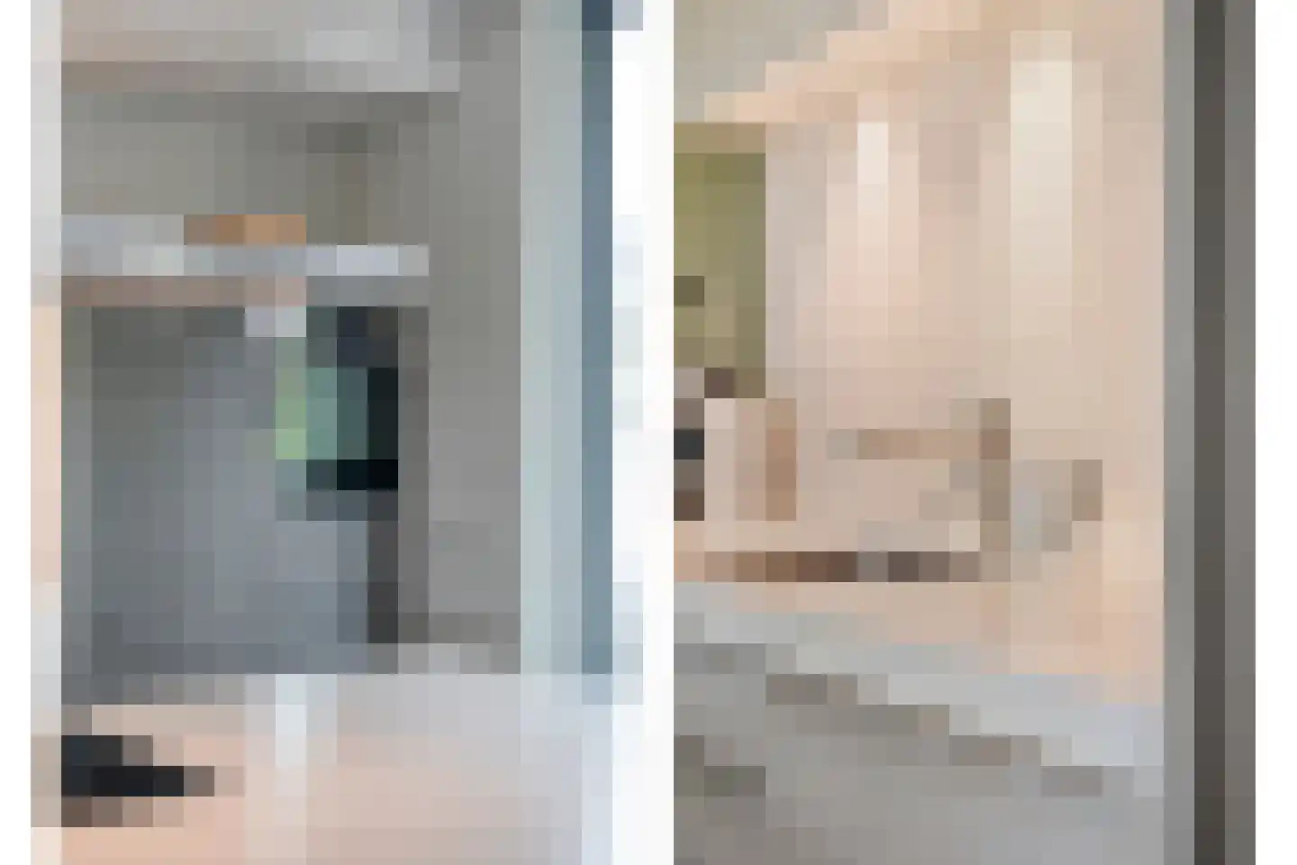 Vijverlaan 15 Nieuwleusen thumbnail 31