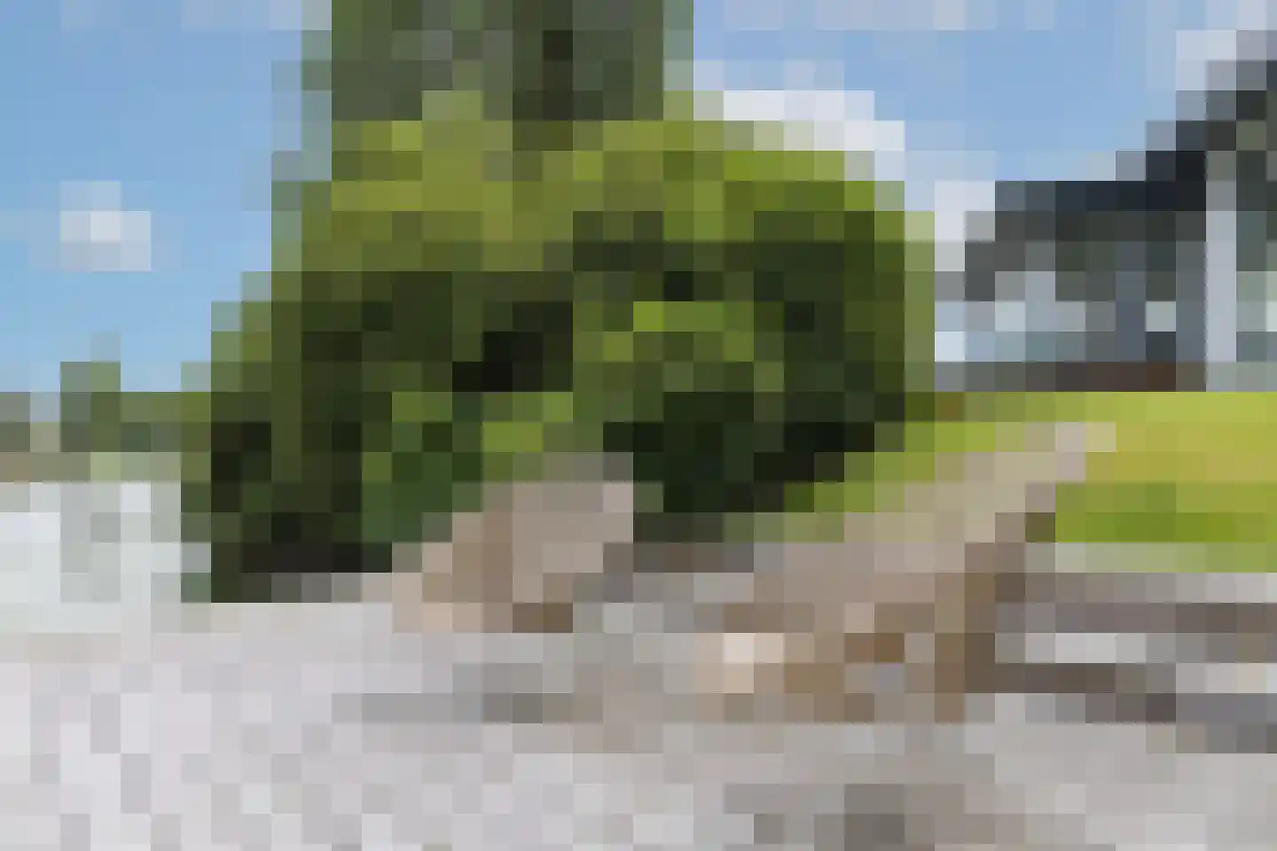 Vijverlaan 15 Nieuwleusen thumbnail 33