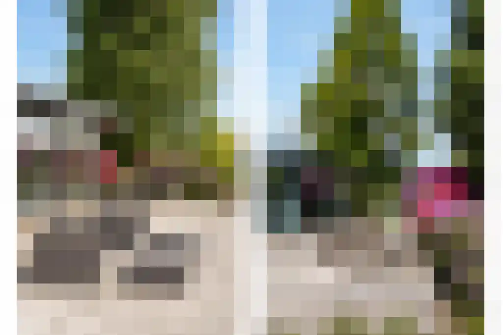 Vijverlaan 15 Nieuwleusen thumbnail 35