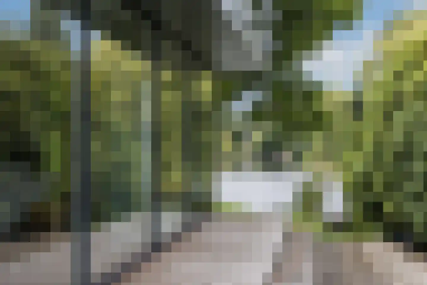 Vijverlaan 15 Nieuwleusen thumbnail 37