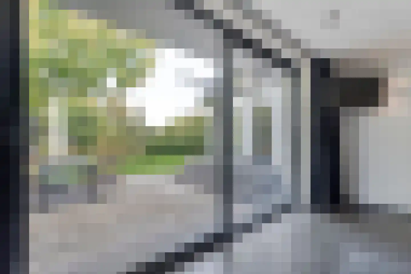 Vijverlaan 15 Nieuwleusen thumbnail 39