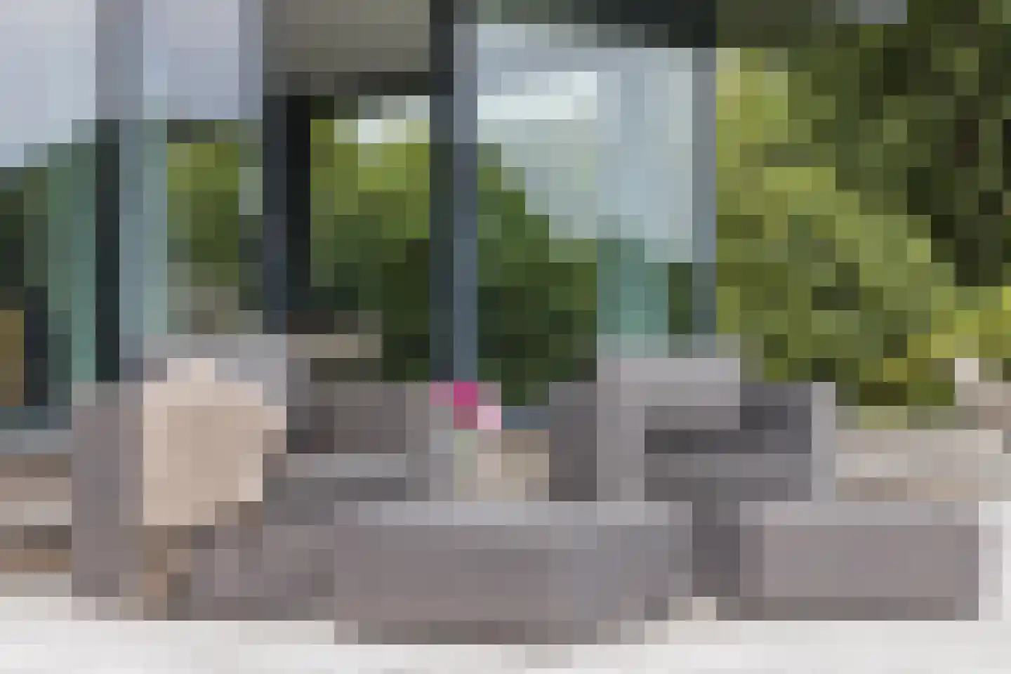 Vijverlaan 15 Nieuwleusen thumbnail 40