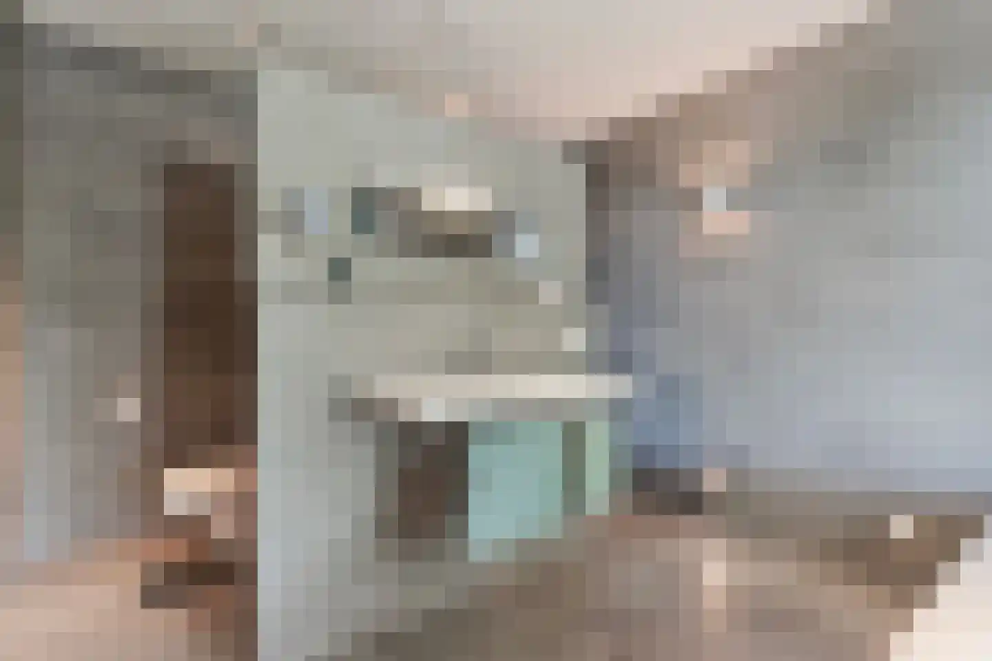 Vijverlaan 15 Nieuwleusen thumbnail 40