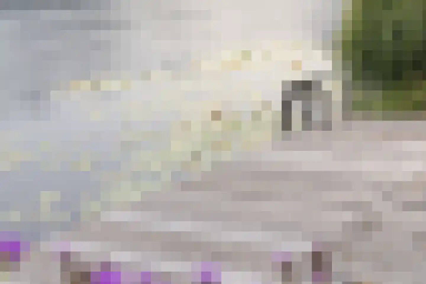 Vijverlaan 15 Nieuwleusen thumbnail 43