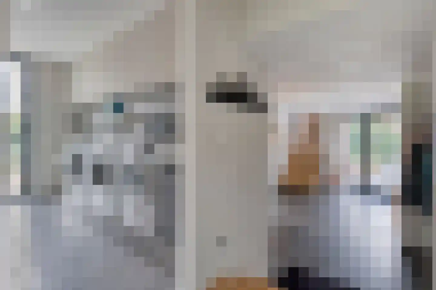 Vijverlaan 15 Nieuwleusen thumbnail 43