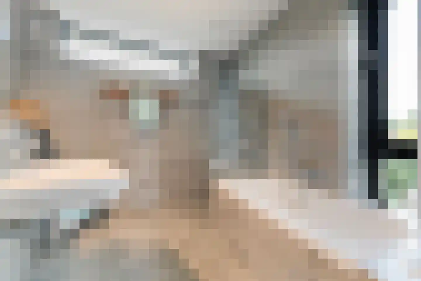 Vijverlaan 15 Nieuwleusen thumbnail 48