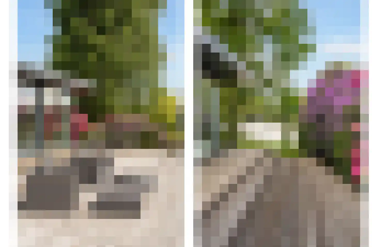 Vijverlaan 15 Nieuwleusen thumbnail 48