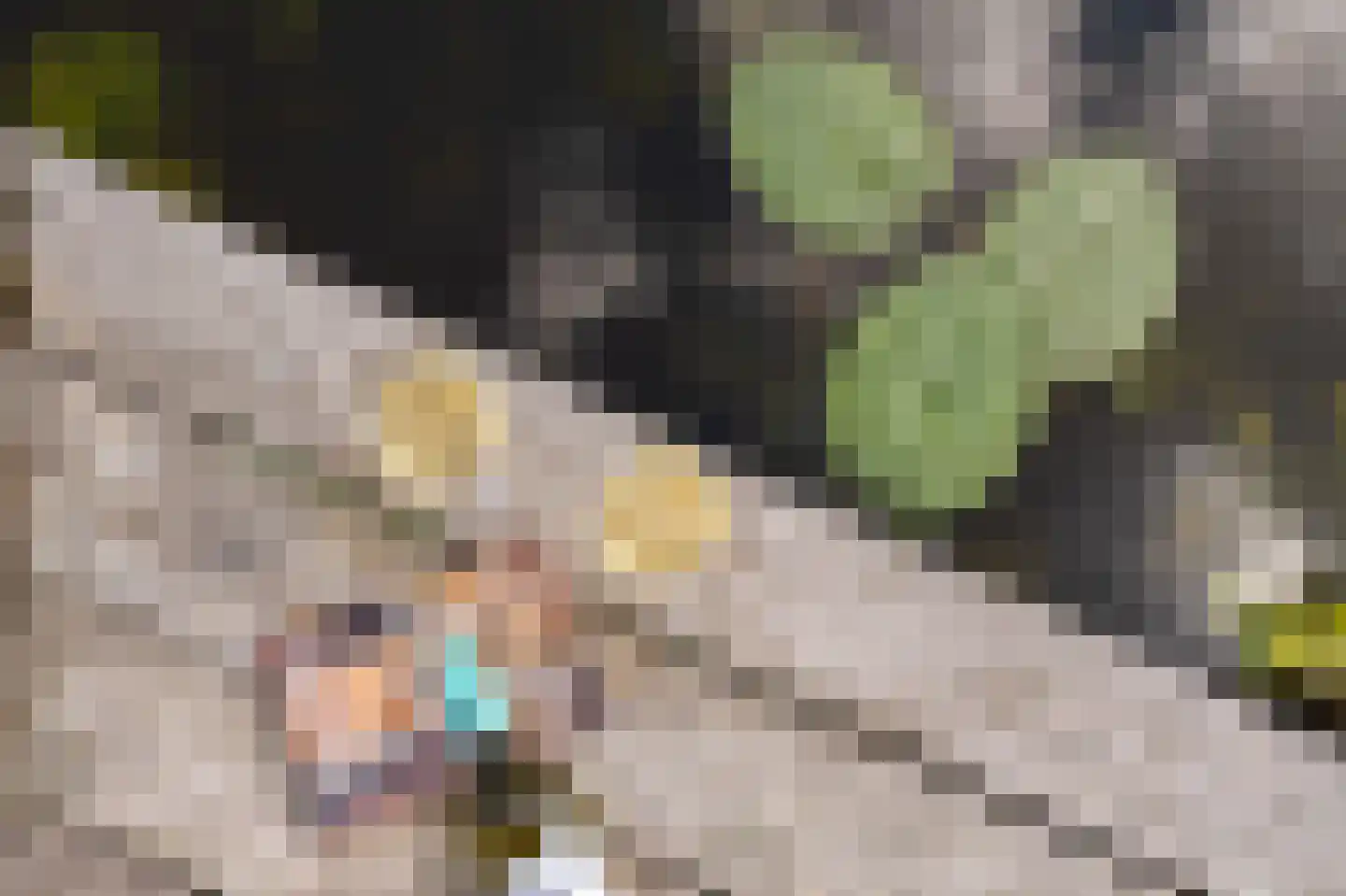 Vijverlaan 15 Nieuwleusen thumbnail 51
