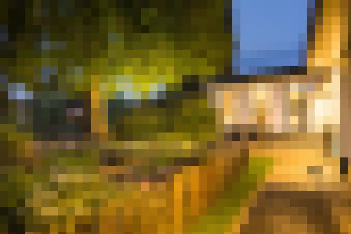 Vijverlaan 15 Nieuwleusen thumbnail 53