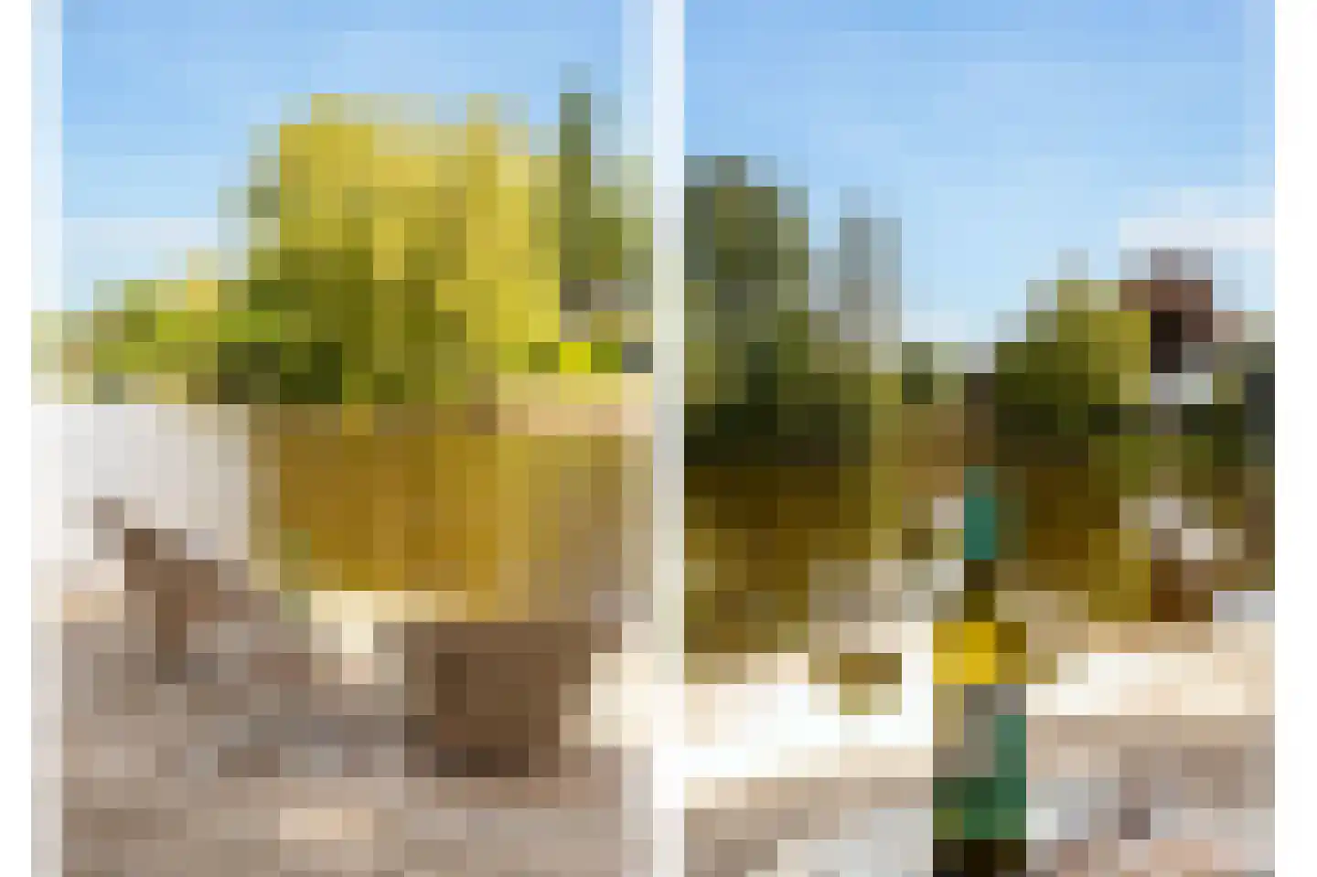 Vijverlaan 15 Nieuwleusen thumbnail 53