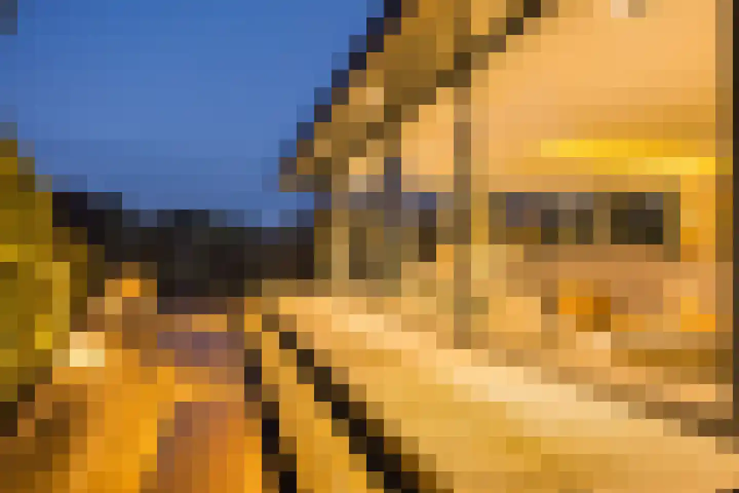 Vijverlaan 15 Nieuwleusen thumbnail 56
