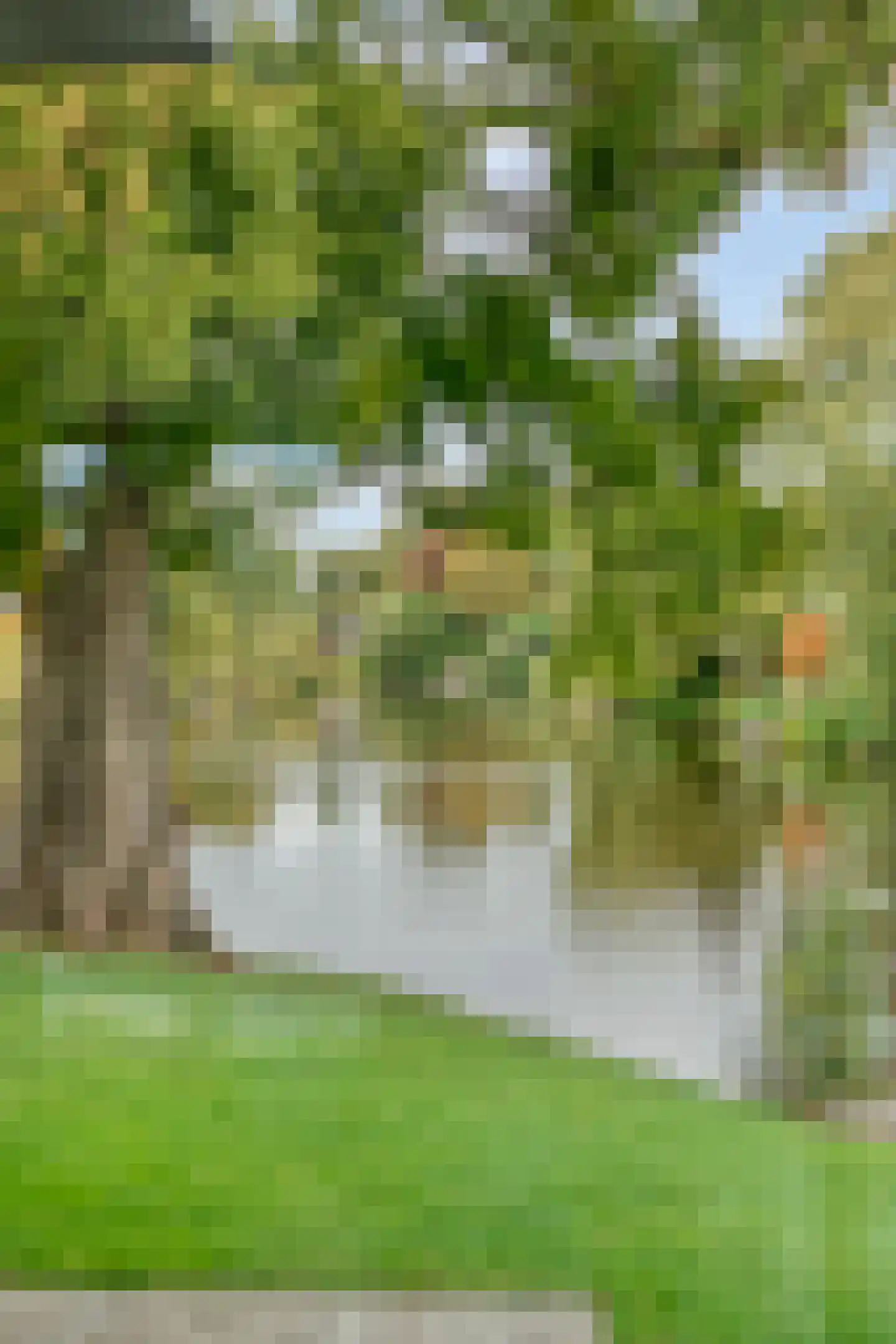 Vijverlaan 15 Nieuwleusen thumbnail 58